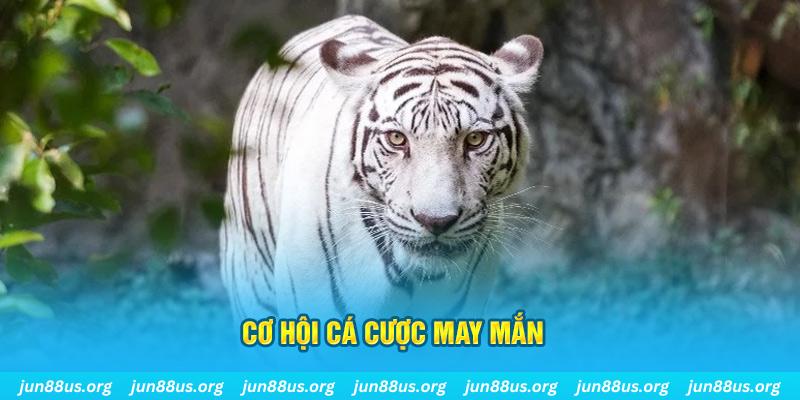 68win11 hết slot la gì