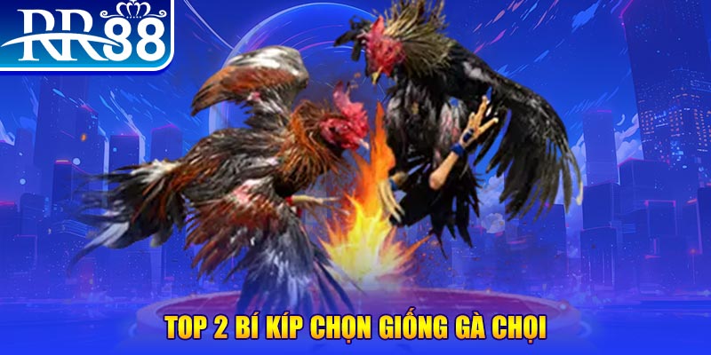 68win11 đăng nhập roulette dễ thắng