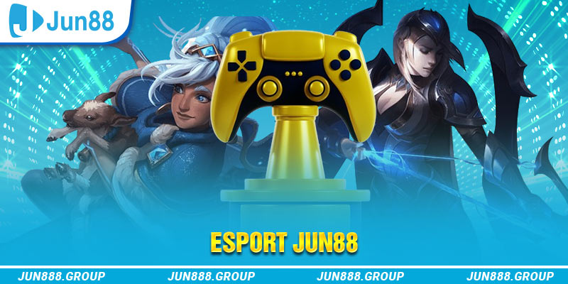 68win11 Trăm Knorr