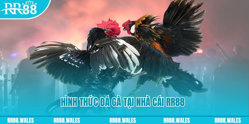 68win11 xin 1 slot là gì