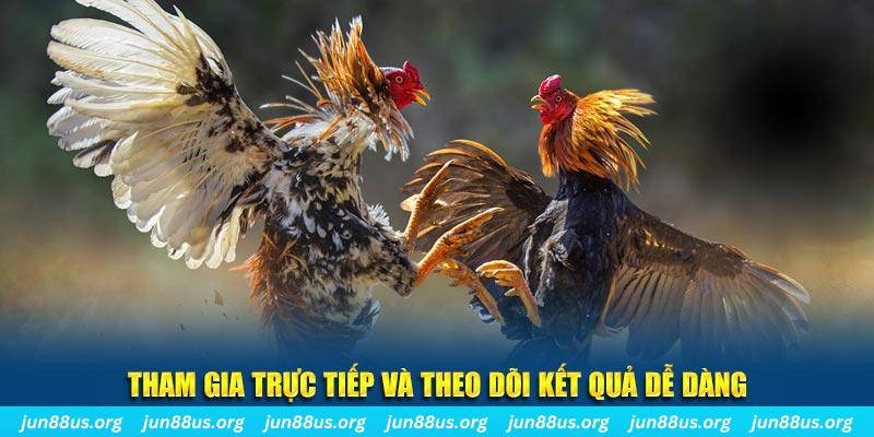 68win11 đá gà trực tiếp bình luận viên