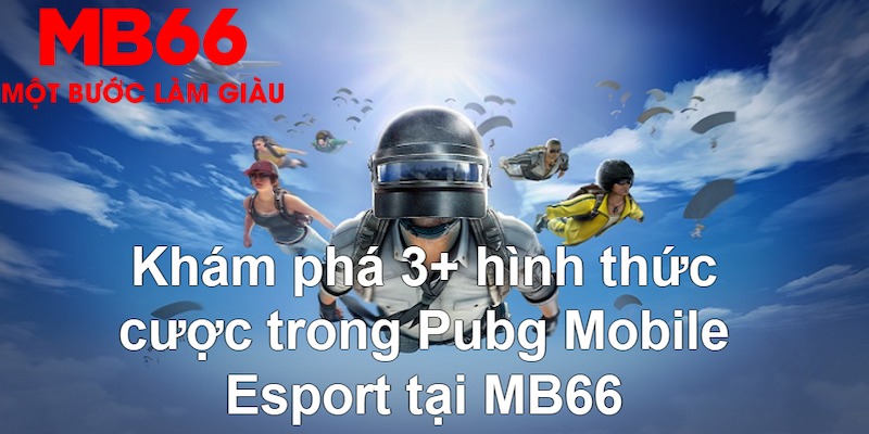 68win11 so xo