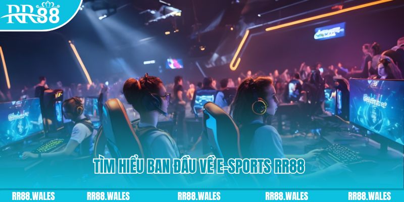 68win11 Đĩa màu ace