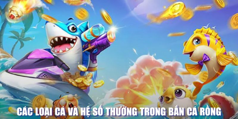 68win11 loi game dot kich ket noi may chu that bai