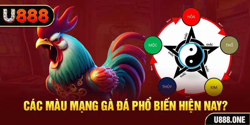 68win11 đăng nhập mậu binh