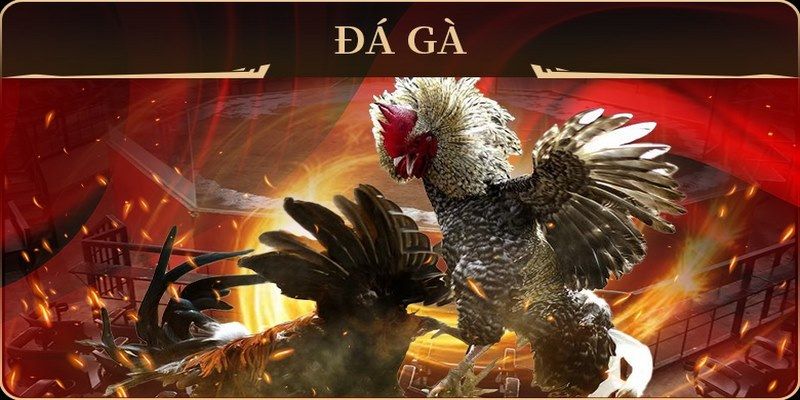 68win11 no hu doi thuong ai