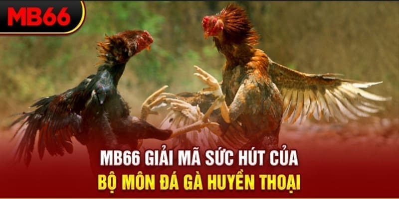 68win11 Phi Đội Ưu Tú