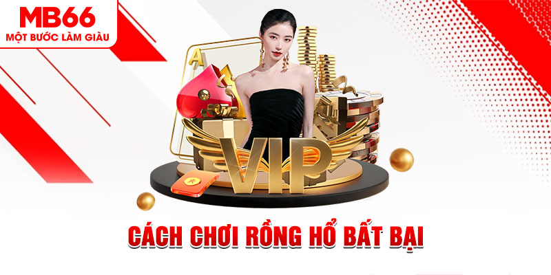 68win11 gà chọi cậu thanh