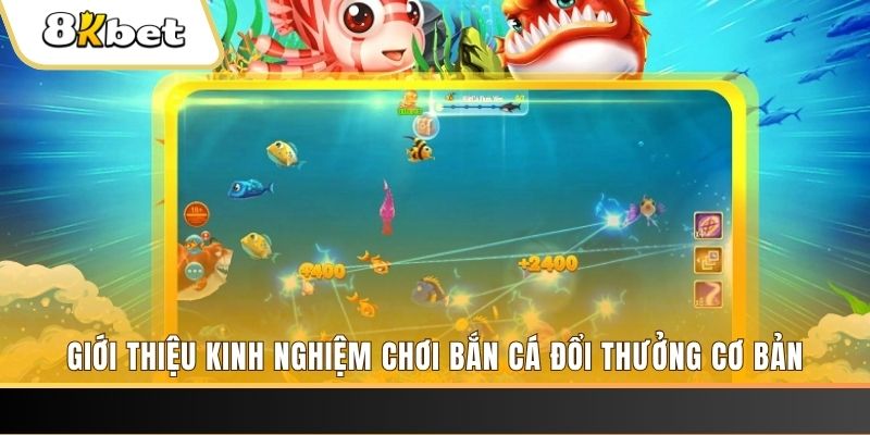 68win11 xổ số miền bắc thứ năm hàng tuần