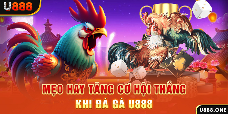 68win11 trực tiếp gà chọi c1