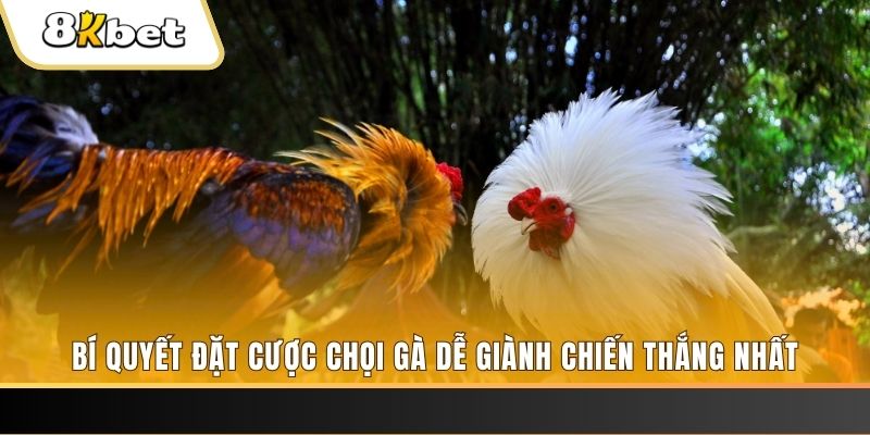 68win11 Tài Xỉu 2