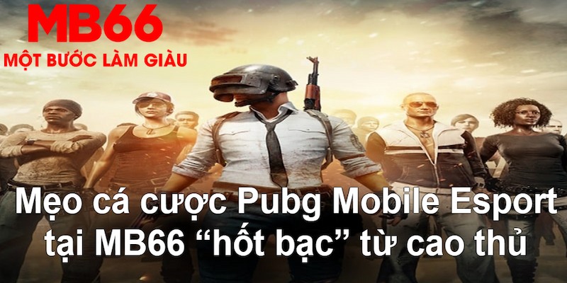 68win11 gà chọi mộc hóa