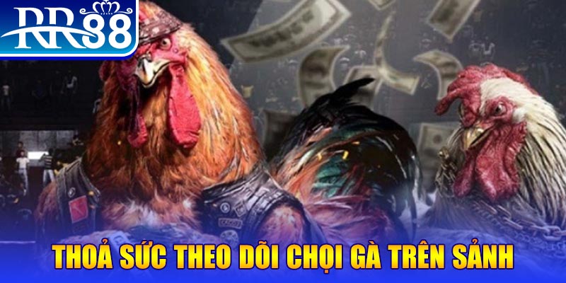 68win11 đá gà 88.com