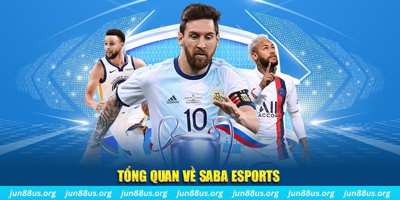 68win11 gà chọi c1 tv trực tiếp hôm nay